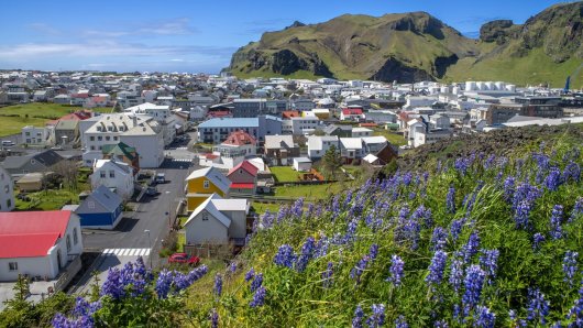 SURADNJA S ANTHROPICOM