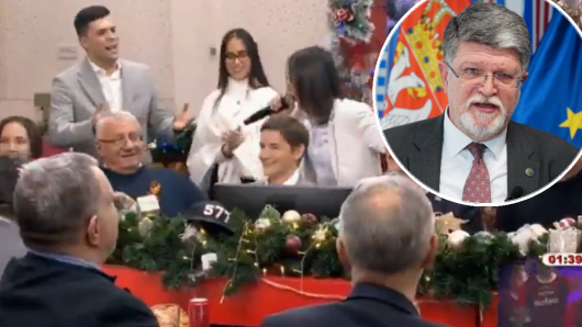 šešelj, brnabić...