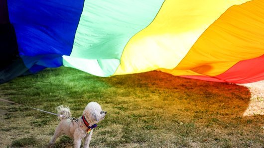 Prva presuda u BiH zbog diskriminacije LGBTQ osoba: Osuđena bivša zastupnica SDA