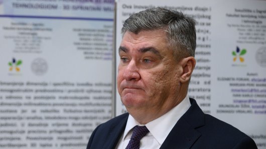 mladi lav hrvatskog hrvanja