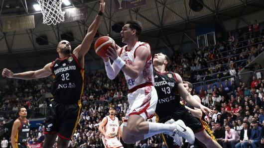 slavlje u draženovom domu