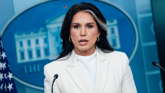 Tulsi Gabbard
