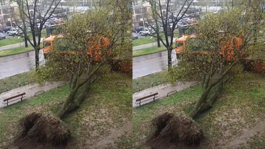 Pad stabla na kamion Čistoće