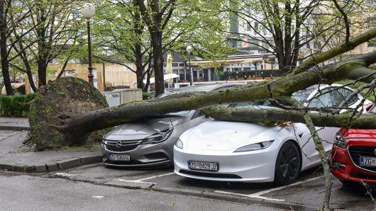Zagreb: Olujni vjetar iščupao stablo u Ulici Bartola Kašića koje je palo na parkirane automobile