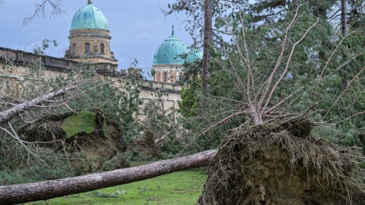 Mirogoj nakon nevremena