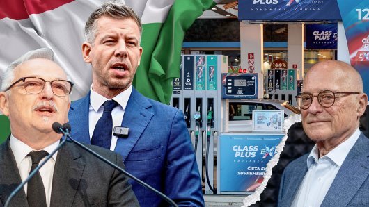 DAVOR ŠTERN ANALIZIRA