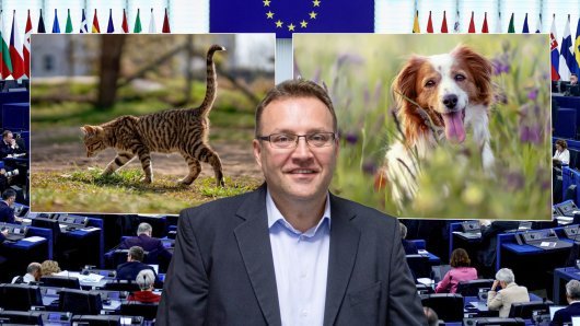 Profesor veterinarskog fakulteta i sudski vještak Krešimir Severin prokomentirao je za tportal pravila koja je usvojio Europski parlament