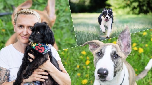 ČIPIRANJE JE VAŽNO