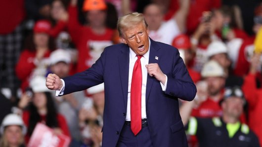 TRUMP PUNI 80