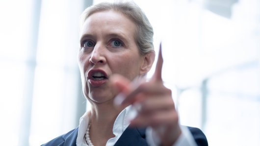 Alice Weidel