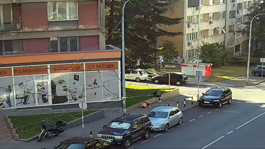 bijes na mrežama