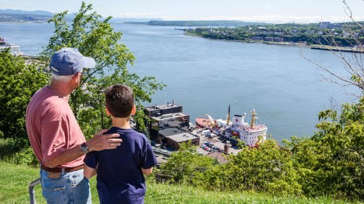 tportal analizira