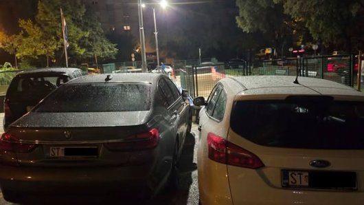 rasplamsalo se