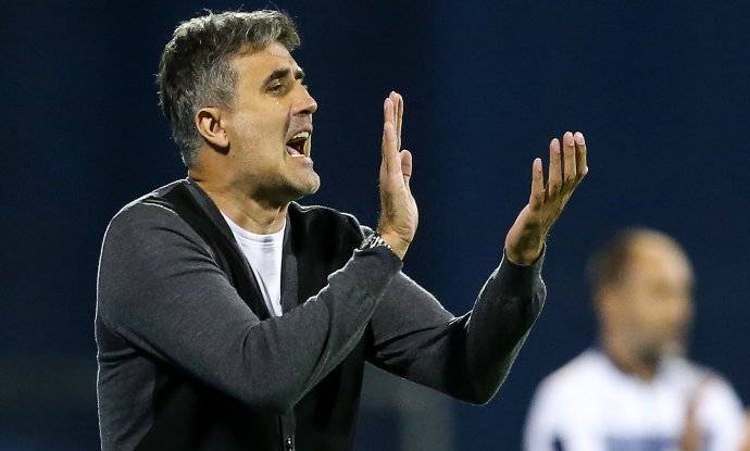 Zoran Mamić