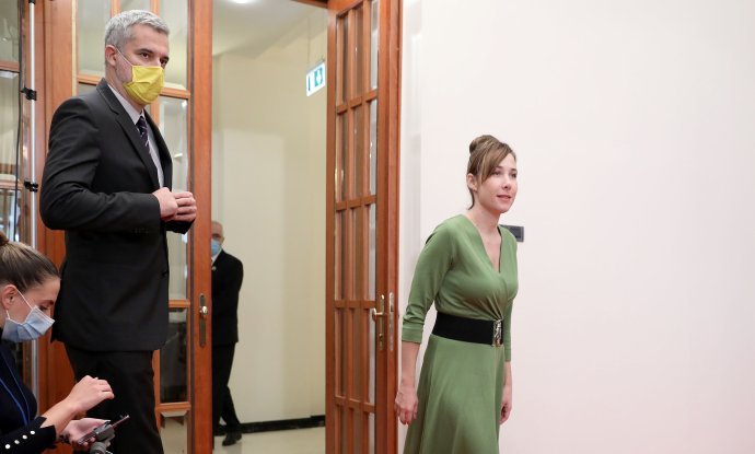 Nino Raspudić, Marija Selak Raspudić