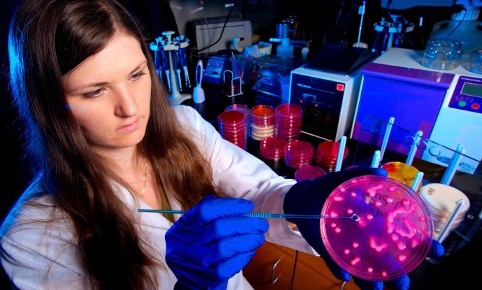 Laboratorijska tehničarka drži Petrijevu zdjelicu koja sadrži bakteriju Klebsiella pneumoniae