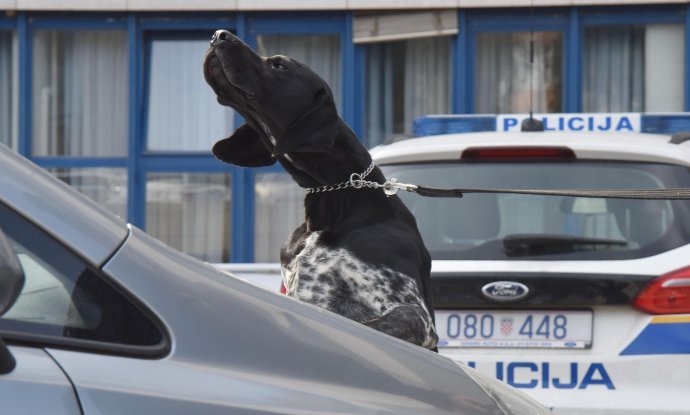 Policijski pas Dux