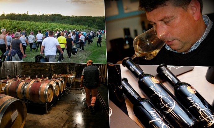 Vinogradarstvo