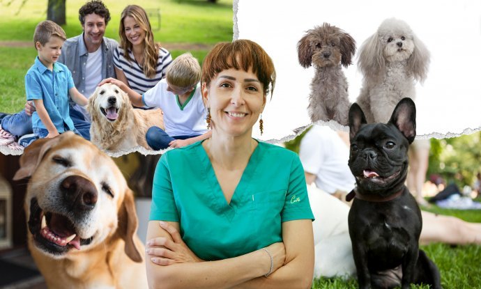 Dr. med. vet. Ivana Ćosevska: 'Idealan obiteljski pas trebao bi biti tolerantan i strpljiv'
