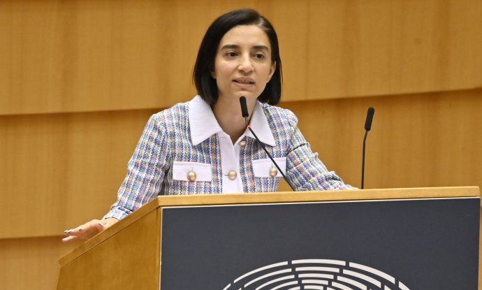 Eurozastupnica Evin Incir