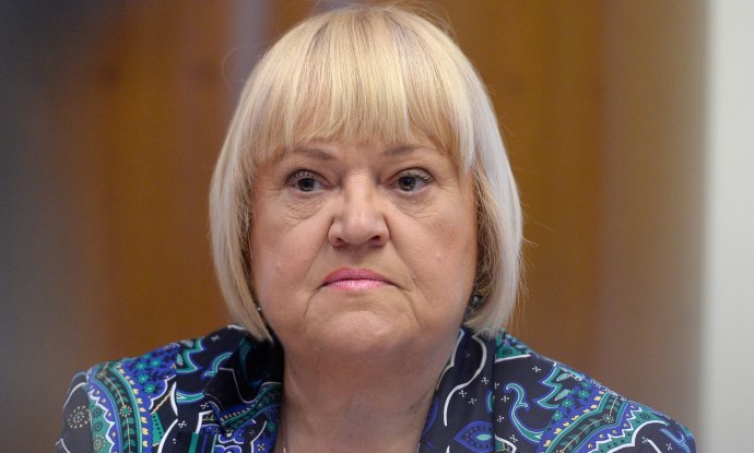 Anka Mrak Taritaš, predsjednica stranke Glas
