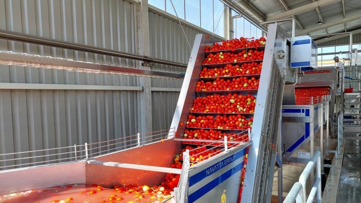 Podravci stiže paprika iz Srbije: Zanimljivo je tko ju zapravo proizvodi