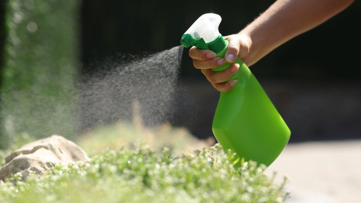 Prirodni pesticidi za vaš vrt – evo što treba znati
