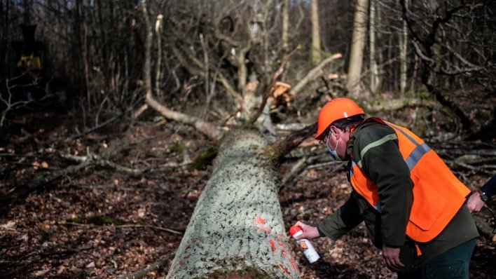 Domaća industrija ostaje bez 150 milijuna eura godišnje? Ključan program treba promijeniti
