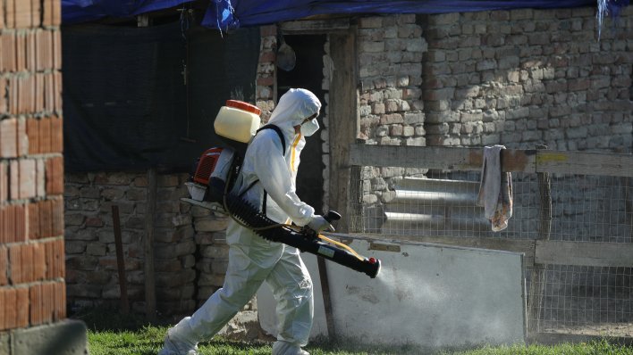 Svinjska afrička kuga proširila se u susjednu zemlju: 'To predstavlja vrlo visoki rizik'