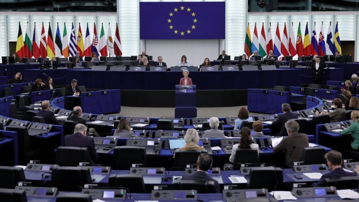 Europarlamentarci o stanju u BiH: 'Već se dugo zalažem da se Dayton ozbiljno revidira'