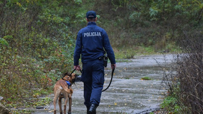 Velika potraga za djevojčicom i dječakom koji su nestali na Staru godinu