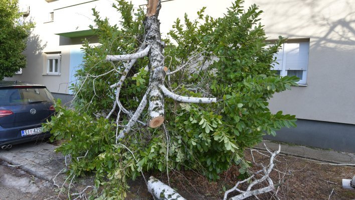 službe rade neprekidno