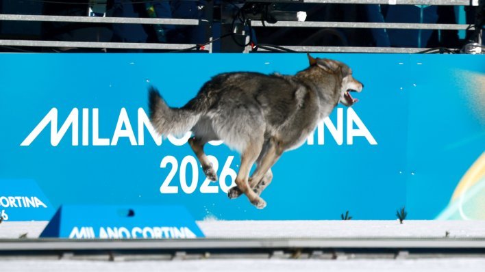 Pogledajte lude scene s Olimpijskih igara: Pas utrčao na stazu usred natjecanja
