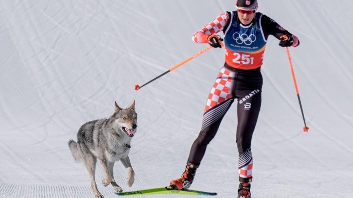 Hrvatska olimpijka u šoku: 'Mislila sam da je vuk'