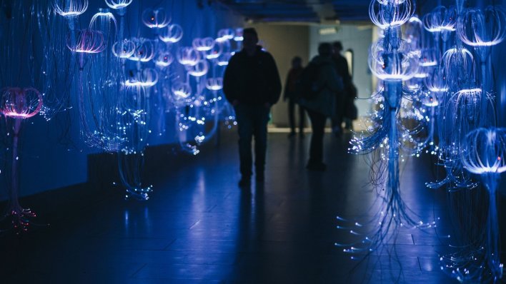 Konferencija Učiniti nevidljivo vidljivim spaja znanost i umjetnost