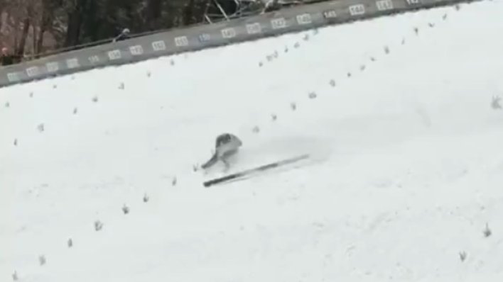 Užas na Planici! Pogledajte pad slovenskog skakača, u nesvijesti se kotrljao niz skakaonicu