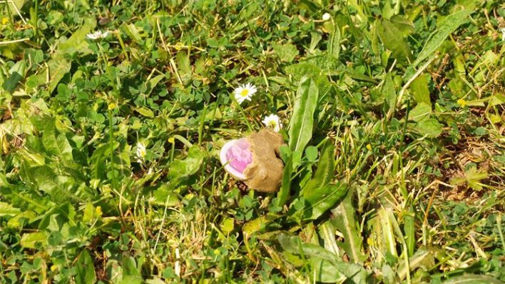 Ovi kolačići padat će iz aviona diljem Hrvatske, nikako ih nemojte dirati! Evo o čemu je riječ