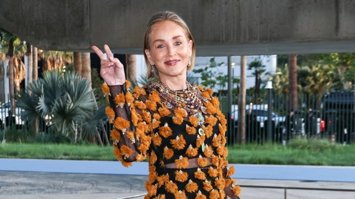 Sve je zasjenila: Sharon Stone pokazala kako se nosi 'gola' haljina u 68-oj