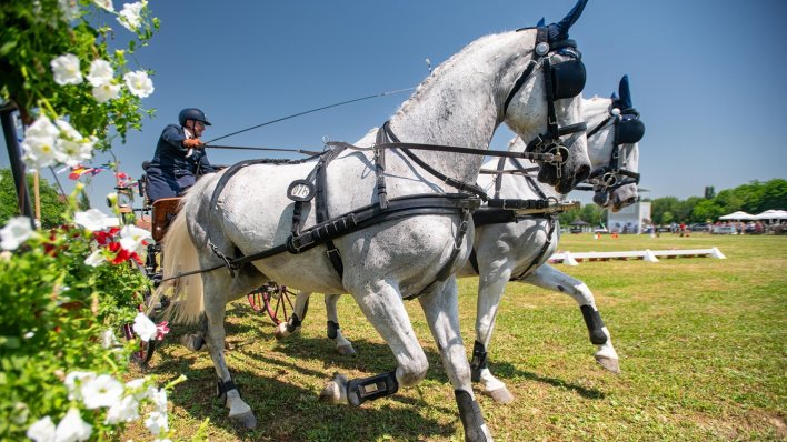 Feričanci spremni za peto izdanje Međunarodnog konjičkog turnira, najavljen spektakularan program