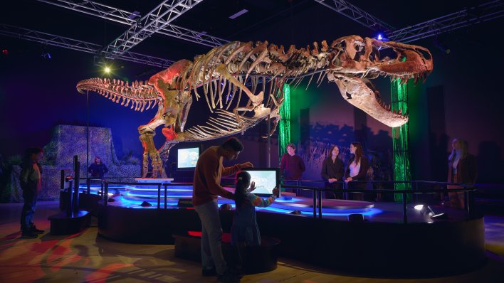 Misterij T-rexovih ruku: Znanstvenici otkrili zašto su strašni predatori žrtvovali udove zbog moćne glave