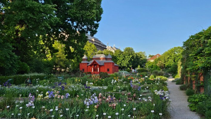 Od Praga do Zagreba: Češki trag u nastanku Botaničkog vrta u Zagrebu