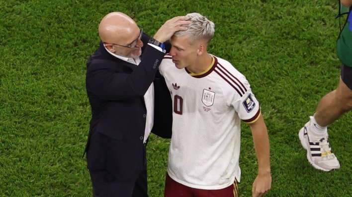 Francuzi se sigurno slažu s ovim riječima španjolskog izbornika