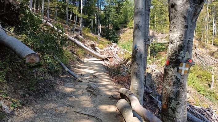 Planirate na Sljeme? Jedna od najpopularnijih staza je zatvorena, evo što se događa