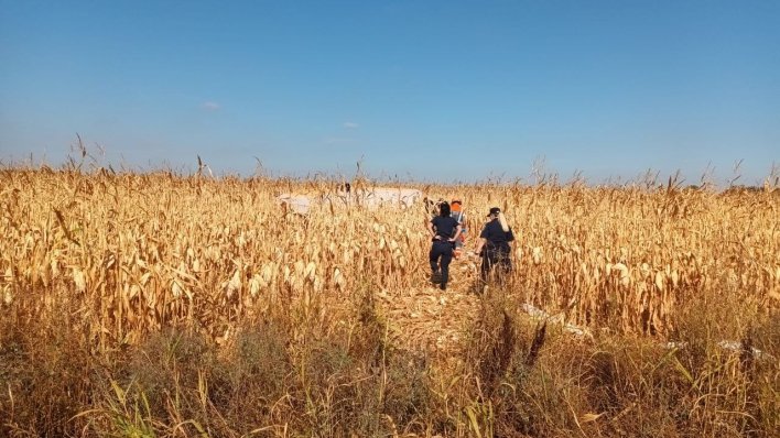 Drama kod Vinkovaca: Srušio se manji zrakoplov, pilot poginuo