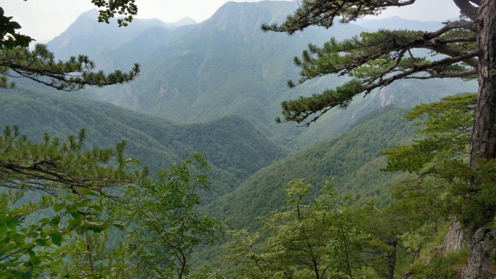 Najskrovitija europska šuma nalazi se u našem susjedstvu: U nju se ne može ući tek tako