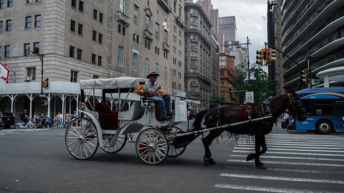 New York planira ukinuti vožnje kočijama u Central Parku