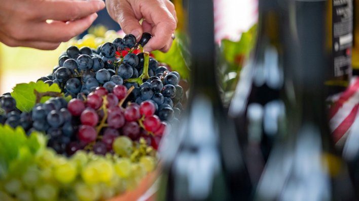 Festival vina i zalogaja
