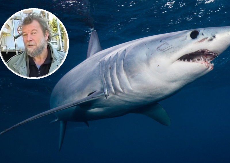 Uplašio vas je morski pas kod Makarske? Pazite što kaže stručnjak: Nisu morski psi beštije, već - ljudi!