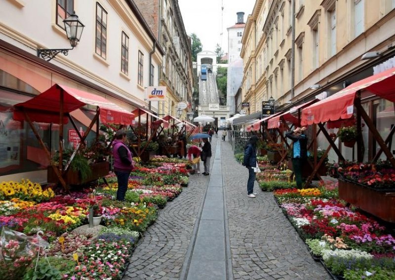 Floraart ove godine i u centru i na Bundeku