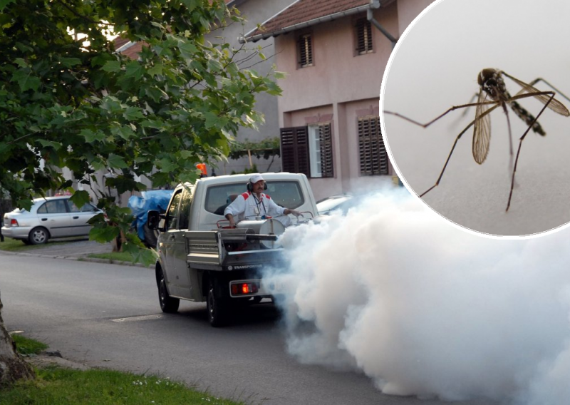 Krenula najezda komaraca: Osječani već muku muče s krvopijama, u Zagrebu krenulo zaprašivanje, doznajte raspored po kvartovima